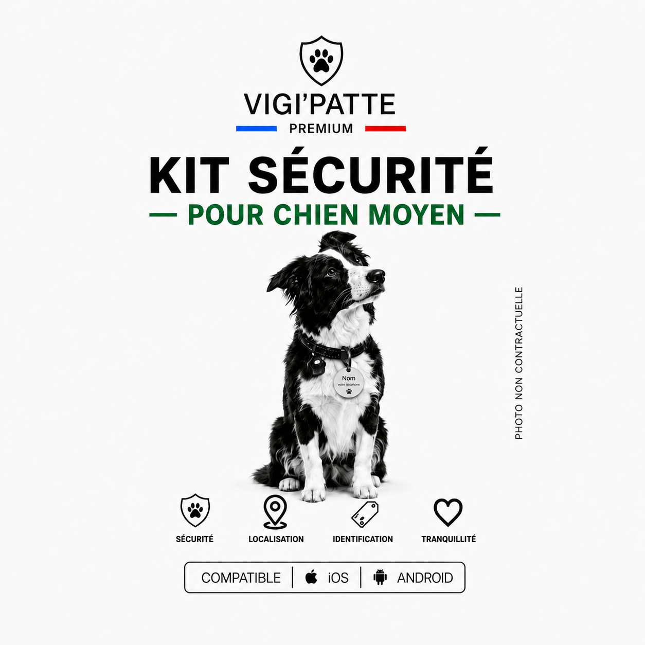 Kit de sécurité MOYEN Chien