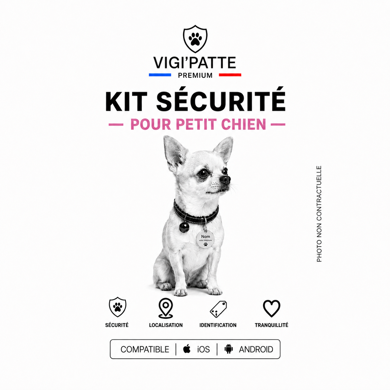 Kit de Sécurité PETIT Chien