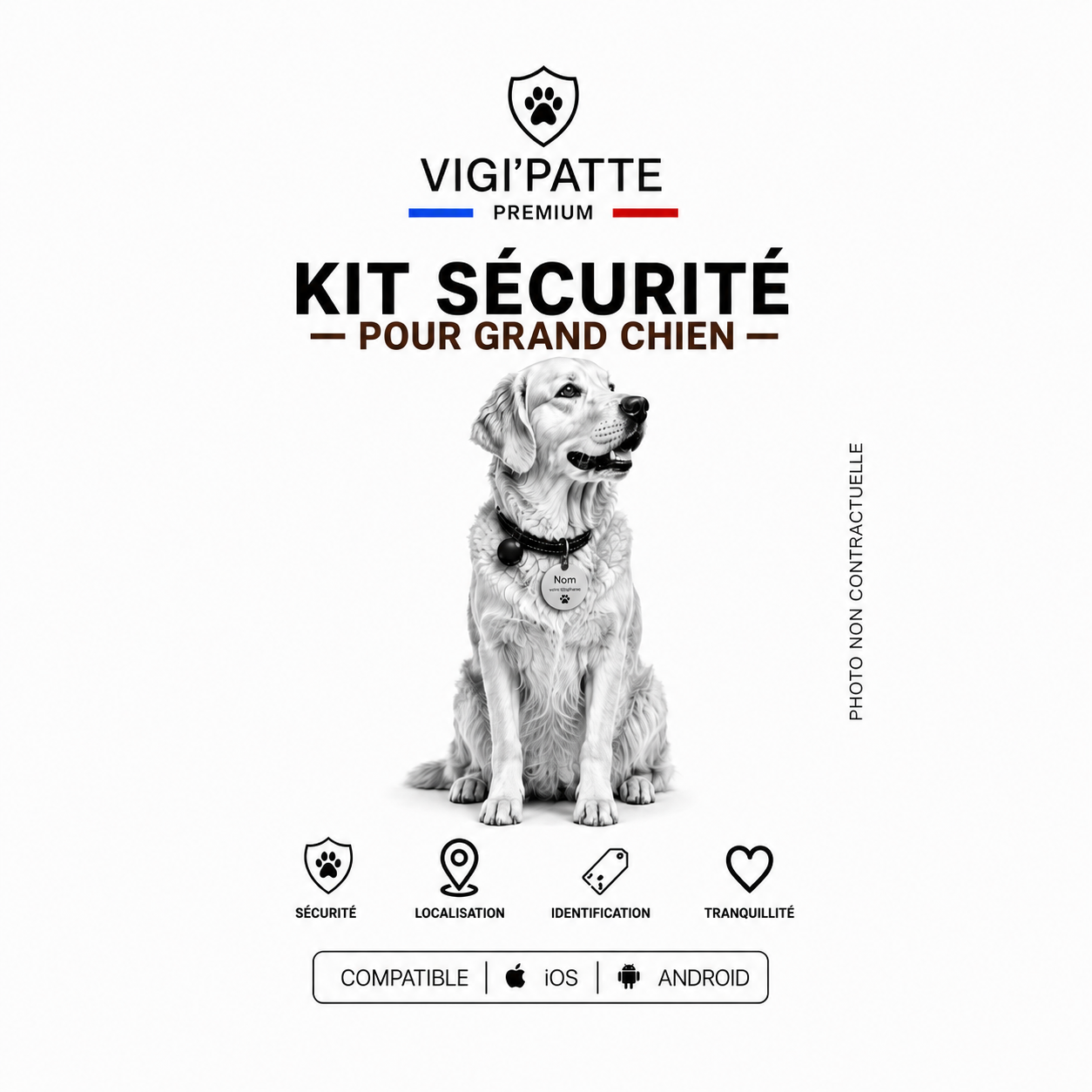 Kit de sécurité GRAND Chien