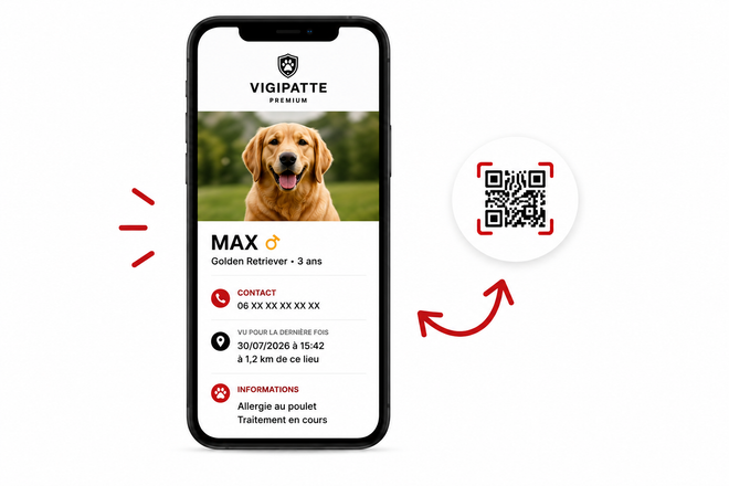 QR Code VIGIPATTE