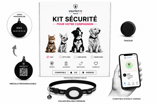 Kit de Sécurité Chat