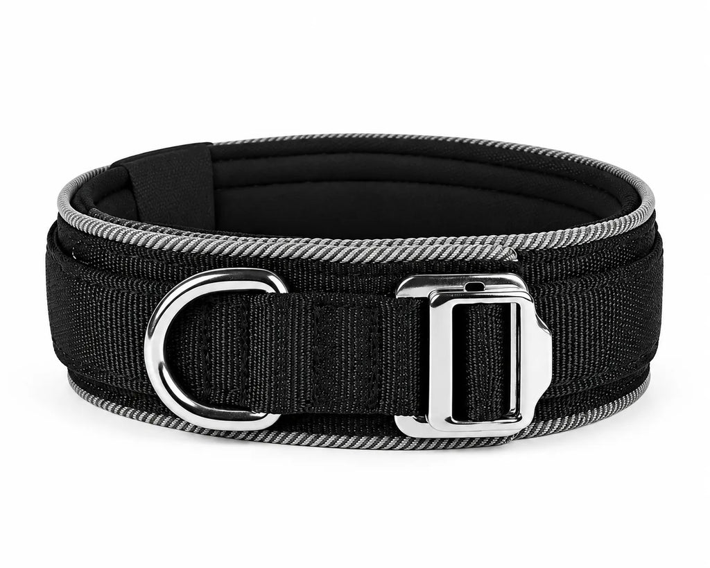Collier pour chien noir rembourré avec liseré gris, anneau en D métallique pour la laisse et boucle coulissante en métal