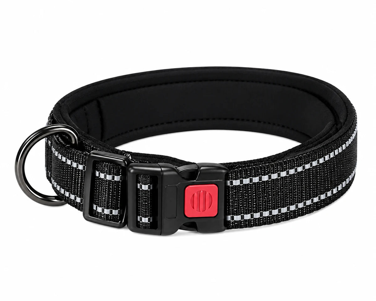 Collier pour chien noir rembourré avec coutures réfléchissantes, boucle à clip rouge et anneau métal pour la laisse