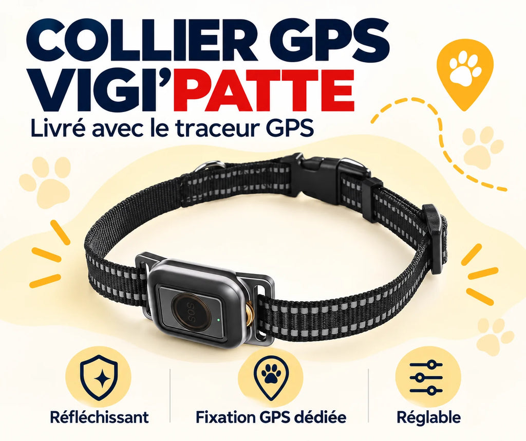 Collier noir réfléchissant avec boîtier SOS, fourni avec le traceur GPS VIGI'PATTE