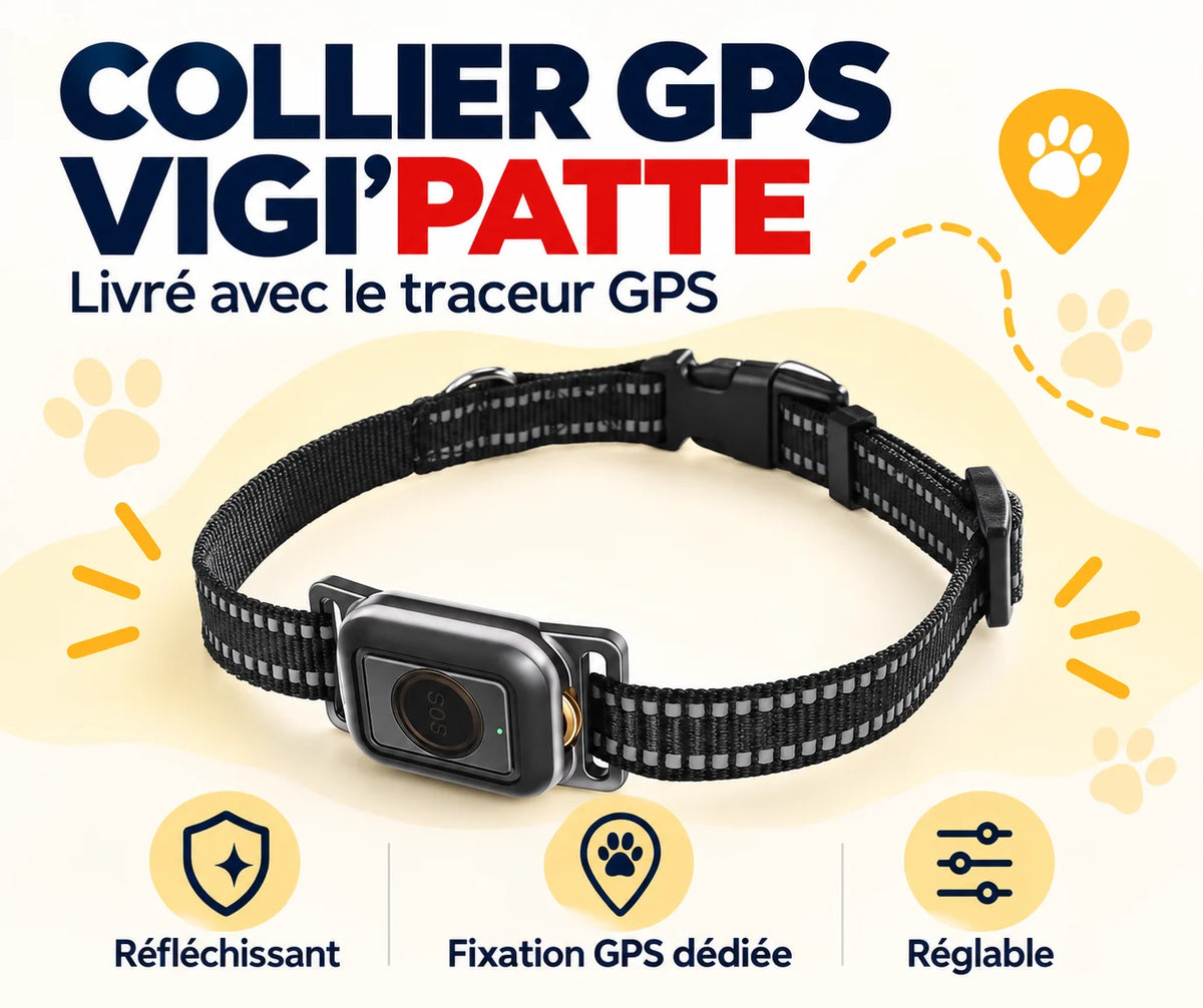 Collier noir réfléchissant avec boîtier SOS, fourni avec le traceur GPS VIGI'PATTE