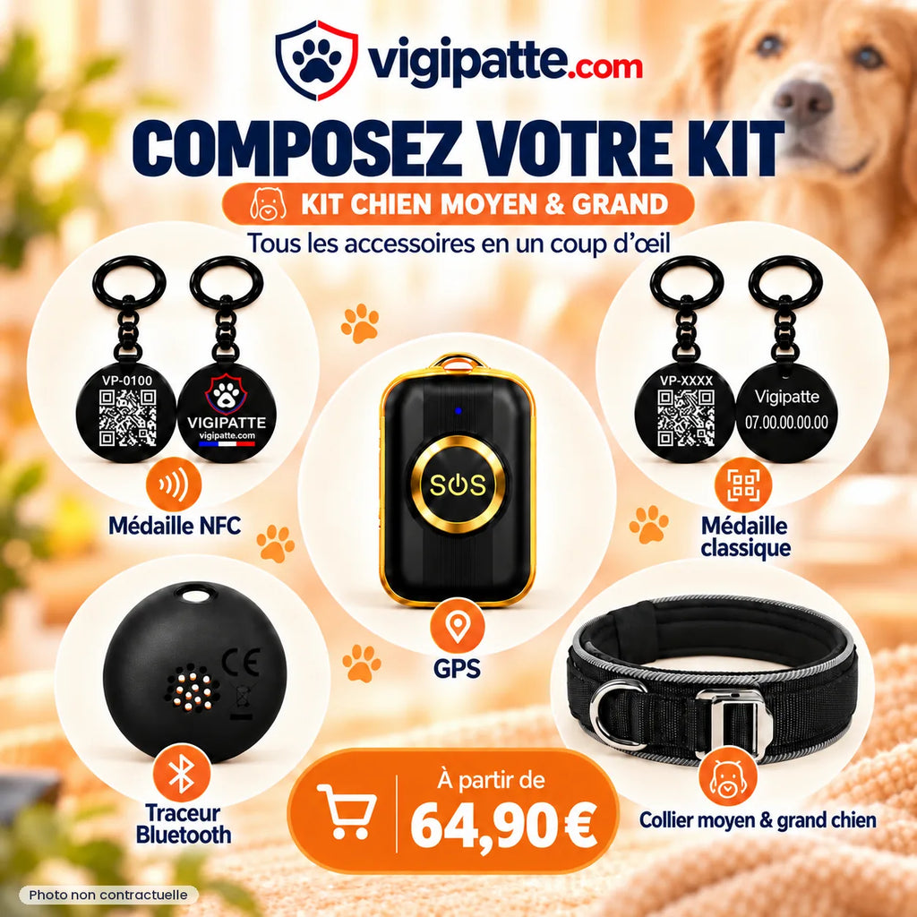 Kit d'identification pour chien moyen et grand : médaille NFC, médaille QR code, GPS, traceur Bluetooth et collier renforcé, dès 64,90 €