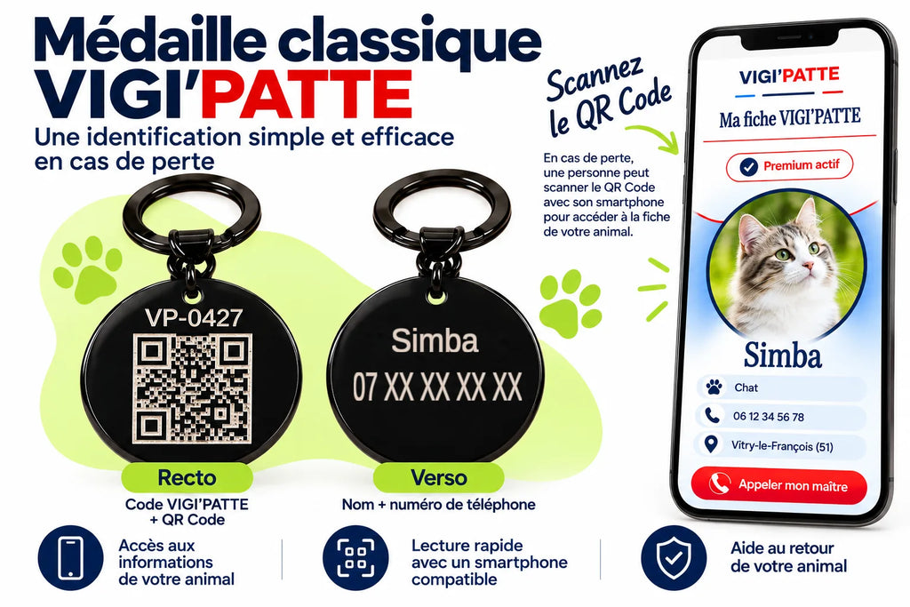 Médaille classique VIGI'PATTE pour chat : recto avec QR Code, verso avec nom et numéro de téléphone