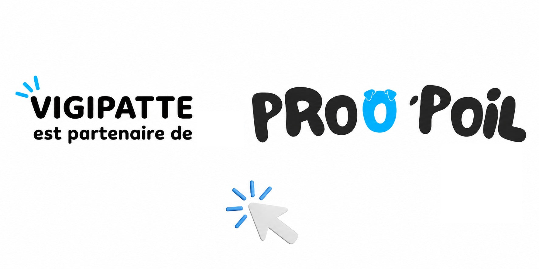 VIGIPATTE est partenaire de ProO'Poil